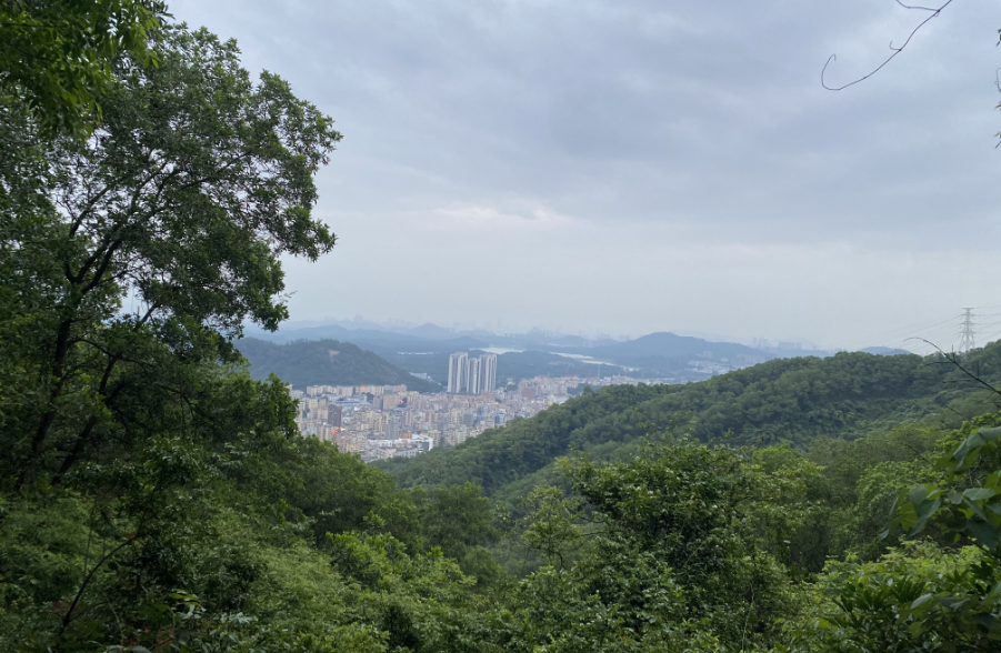 蘑菇TV官方网站登录入口團建|夢想凝聚團隊,團隊鑄就夢想!