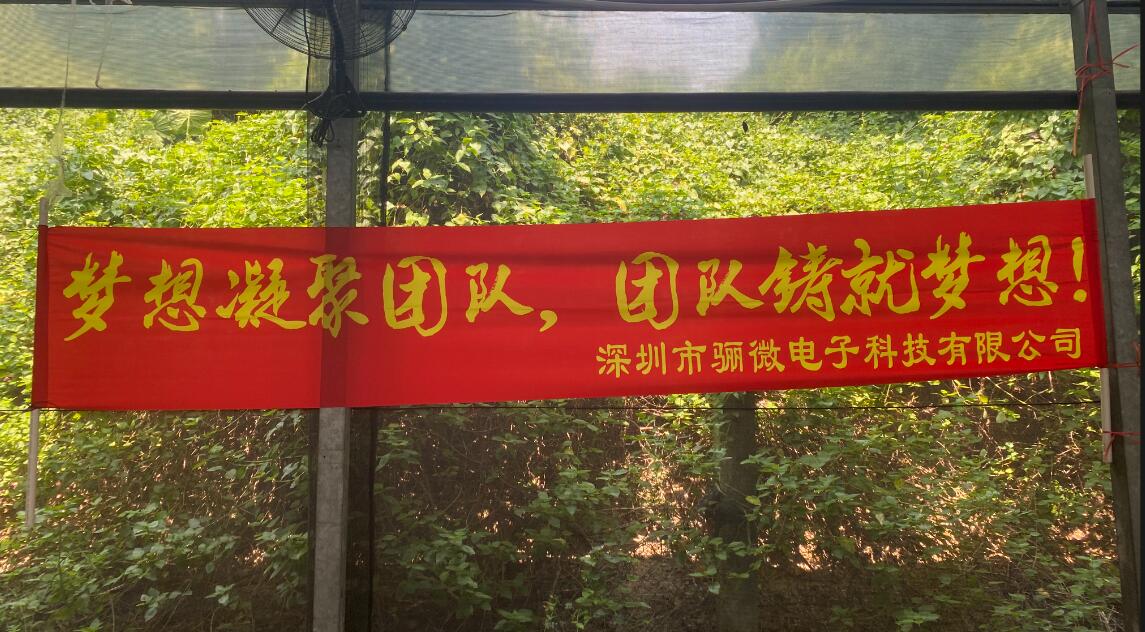 蘑菇TV官方网站登录入口團建|夢想凝聚團隊,團隊鑄就夢想!